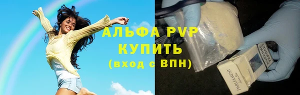 амфетамин Белокуриха